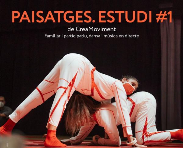 Paisatge. Estudi #1